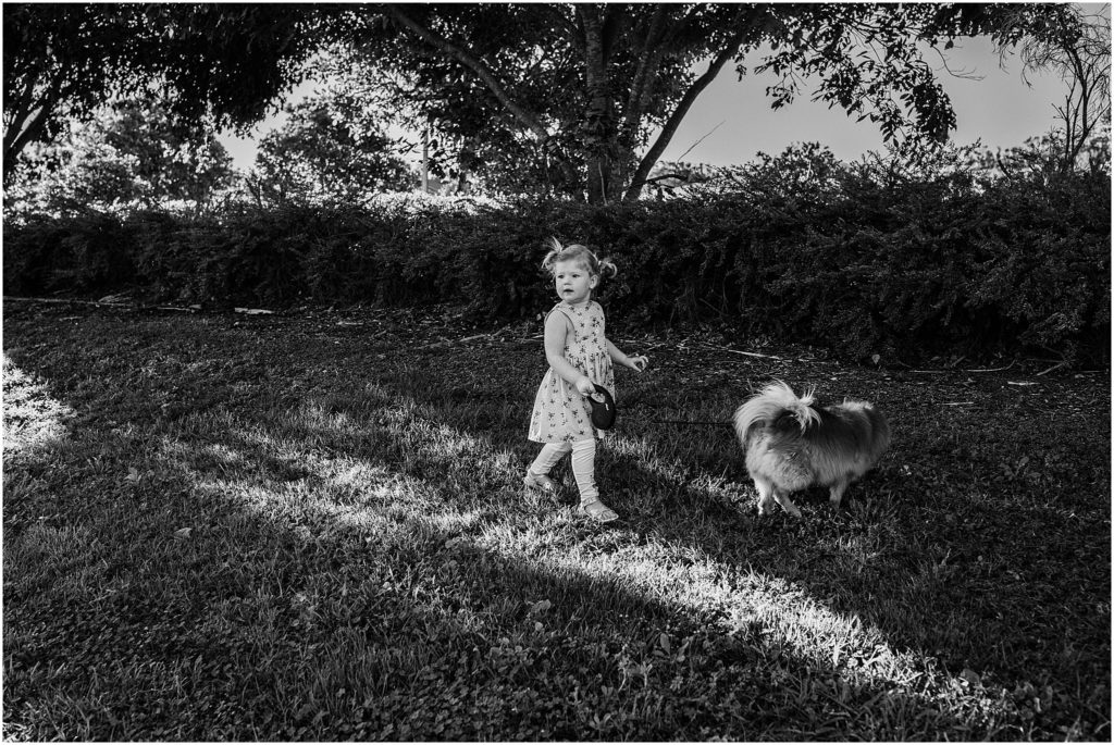 Little girl walking dog in the park.