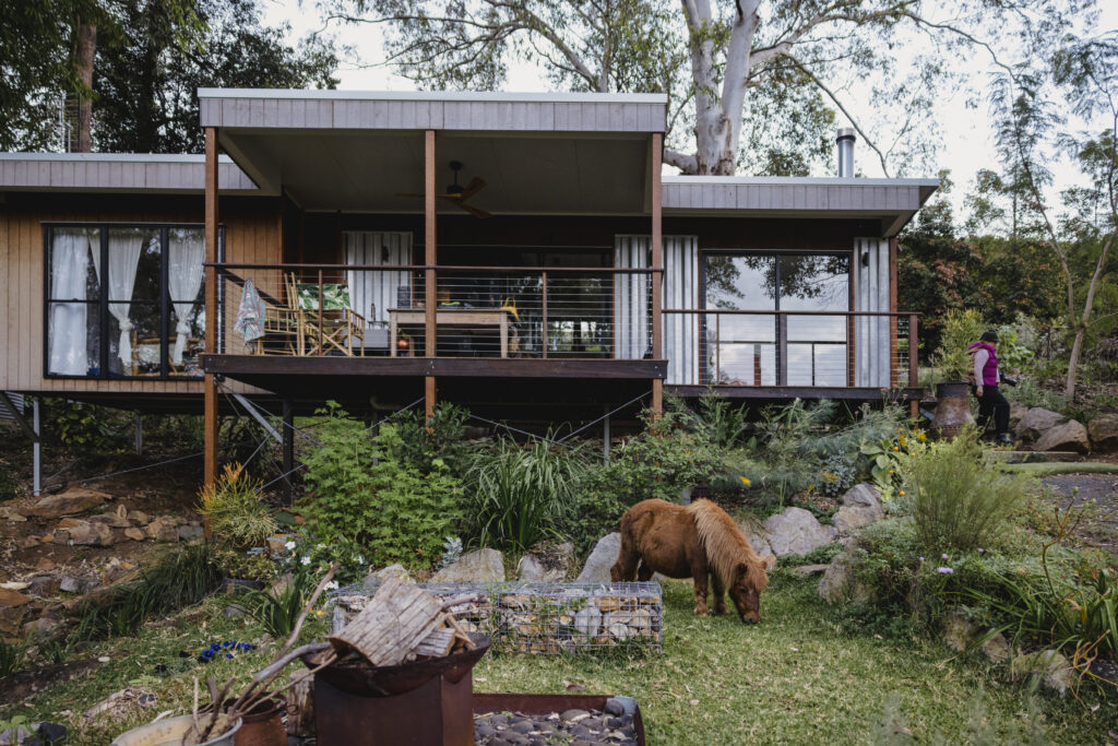 The Wilds Container Home Airbnb with the miniature horse grazing on grass at the front of the home.
