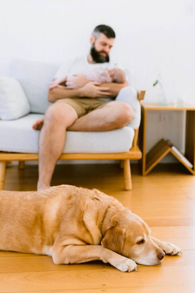 Dad is holding the baby and looking down at her. Their Labrador is lying on the floor in front of them.