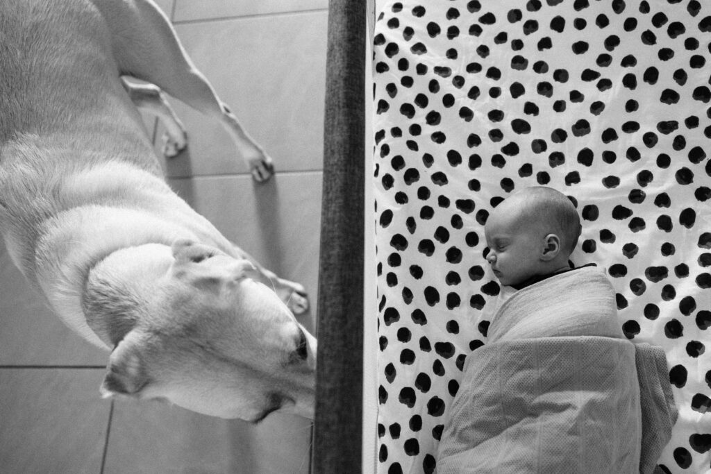 A baby is asleep in the cot and the dog watches her through the side of the cot
