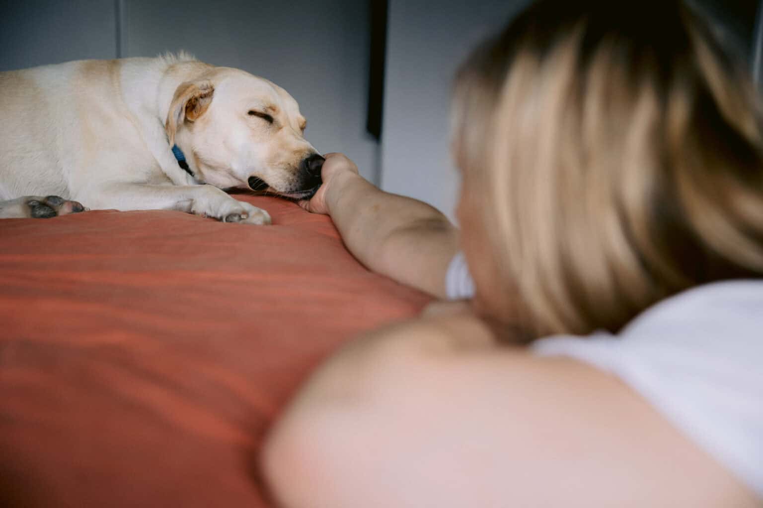 Documenting a Couple’s Journey KZ Photography