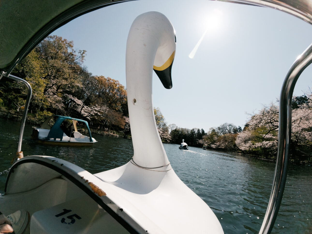 The view from a swan paddle boat in Inokashira Park