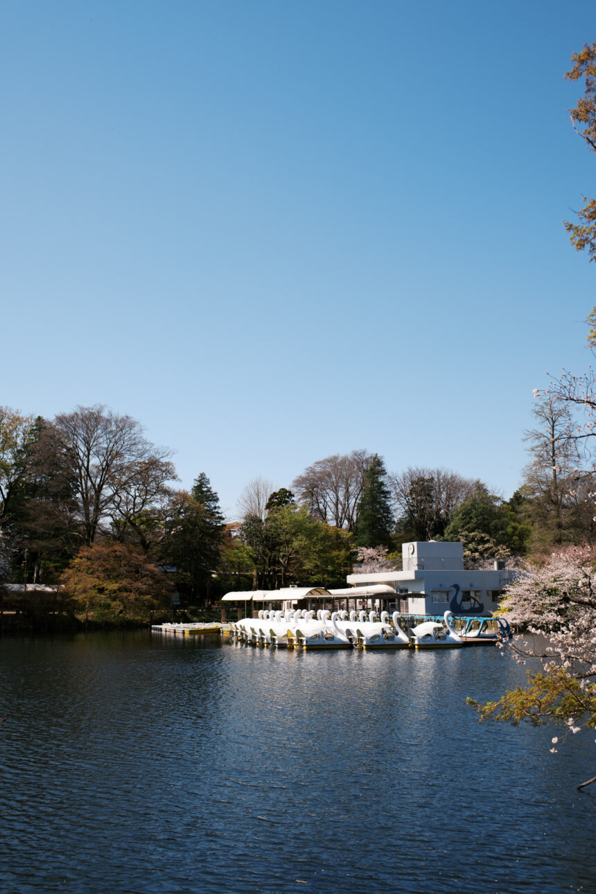 Inokashira Onshi Park Boat Park