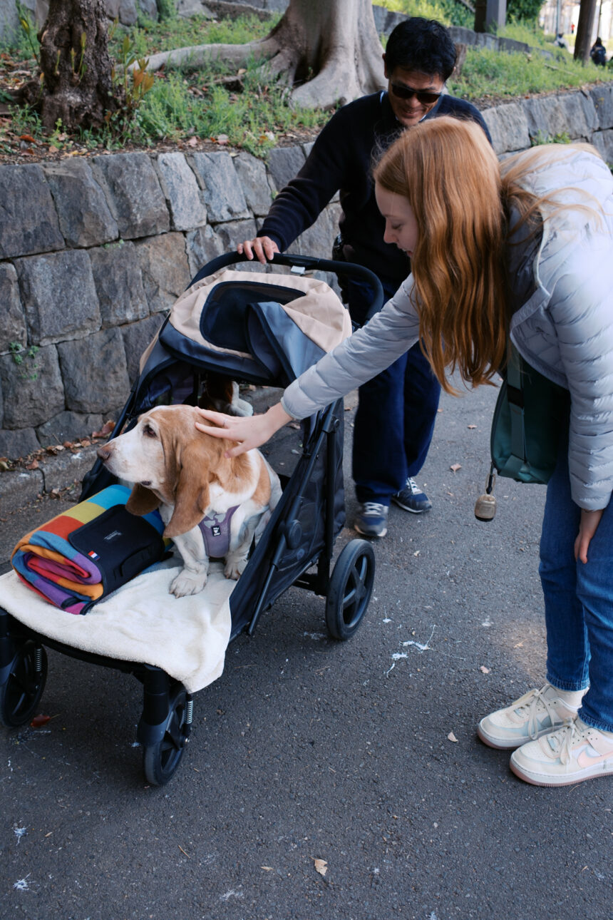 Patting a dog at Ueno Park